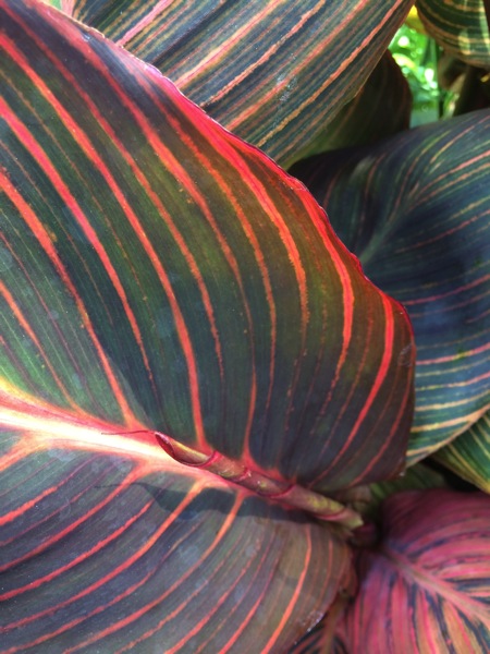 IMG_6504.jpg IMG 6504